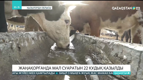 Жаңақорғанда мал суаратын 22 құдық қазылды