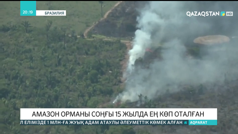 Амазон орманы соңғы 15 жылда ең көп оталған
