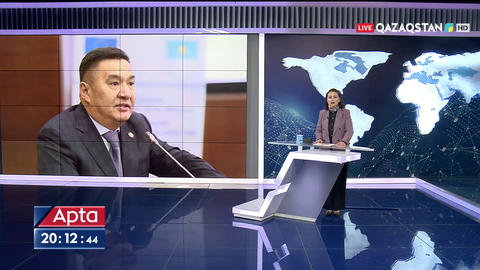 Ауыл шаруашылығындағы субсидиялар желге ұшып жатыр - Марат Ахметжанов