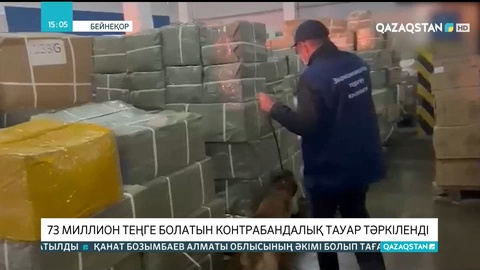 Контрабандалық жолмен тауарды шекарадан өткізбек болған қырғыз азаматы ұсталды