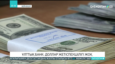 Елімізде доллар тапшылығы жоқ