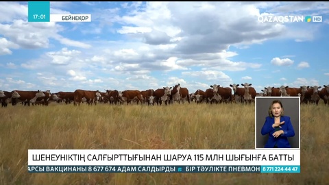 Батыс Қазақстанда шенеуніктің салғырттығынан шаруа 115 млн теңге шығынға батты
