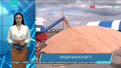 Бидай қымбаттады: Елімізде тоннасы 120 мың теңге