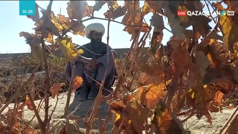 Ауғанстанда экономикалық дағдарыс пен қуаңшылық халықтың жағдайын нашарлатты