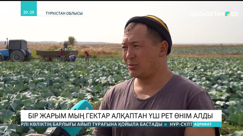 Түркістан облысында 1 жарым мың гектар алқаптан көктемнен бері үш рет өнім алды