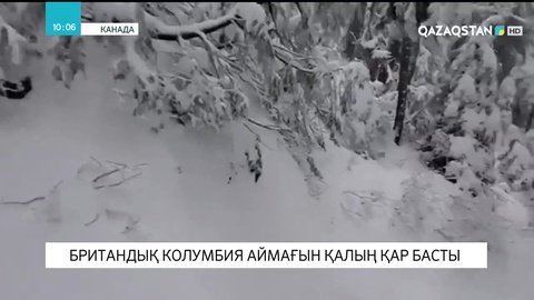 Британдық Колумбия аймағын қалың қар басты