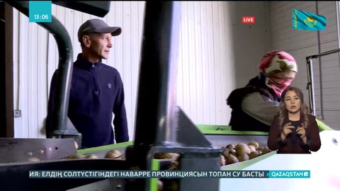 Ақтөбелік тұрғындарға жарамсыз картоп сатылған