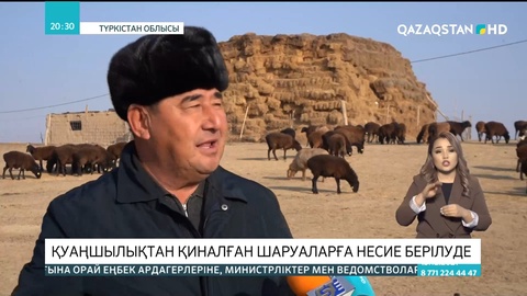 Түркістан облысында шаруаларға үстеме қайтарымы аз несие беріле бастады