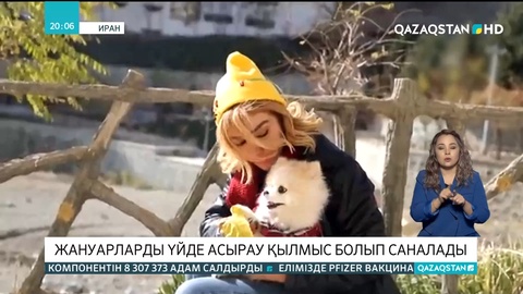 Иранда жануарларды үйде асырауға тиым салынады