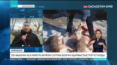 Қызылорда облысында киіктің мүйізін сатпақ болған қылмыстық топ ұсталды