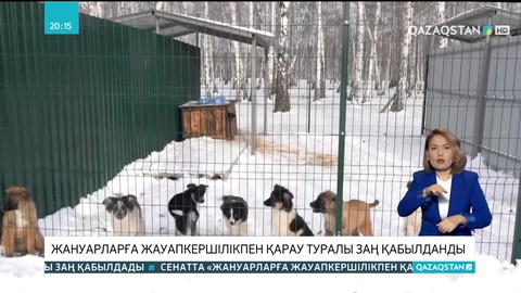 Жануарларға жауапкершілікпен қарау туралы заң қабылданды