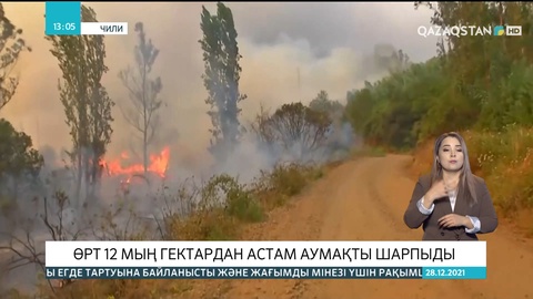 Чилидің оңтүстігінде алапат өрт 12 мың гектардан астам аумақты шарпыды