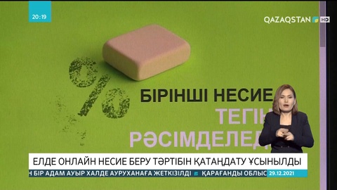 Елімізде онлайн несие беру тәртібін қатаңдату ұсынылды