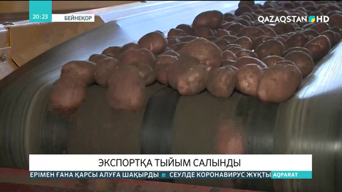Елімізде картоп пен сәбізді экспорттауға тыйым салынды