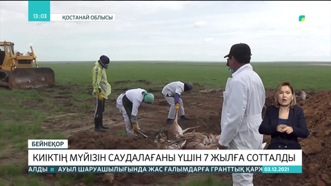 Арқалық қаласының тұрғыны киіктің мүйізін саудалағаны үшін 7 жылға сотталды