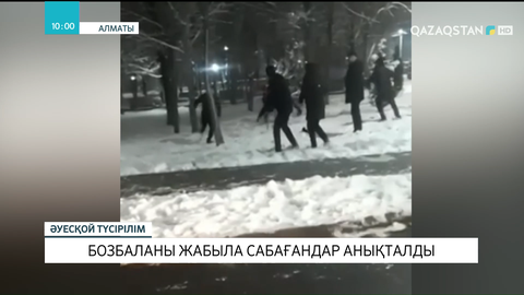 Алматыда бозбаланы жабыла сабағандар анықталды