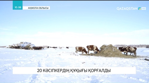 Ақмола облысында 20 кәсіпкердің құқығы қорғалды