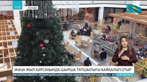 Канадада Жаңа жыл қарсаңында шырша тапшылығы байқалып отыр