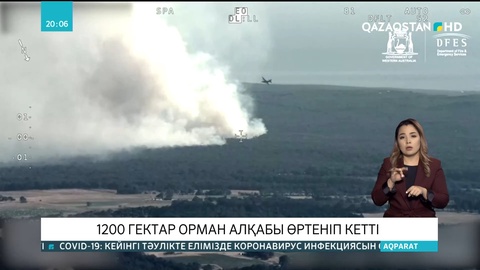 Австралияда 1200 гектар орман алқабы өртеніп кетті