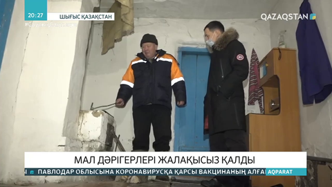 Шығыс Қазақстанда мал дәрігерлері жалақысыз қалды