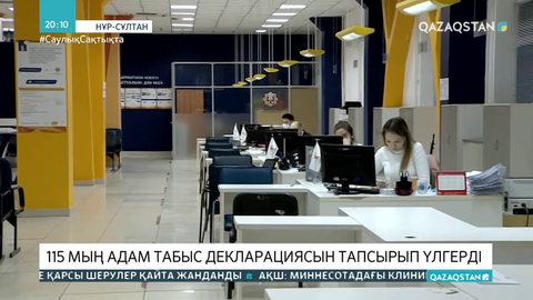 115 мың адам табыс декларациясын тапсырып үлгерді