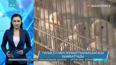 Тауық еті мен жұмыртқа бағасы қымбаттады