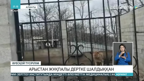Алматы облысында шаруа қожалығынан табылған арыстан жұқпалы дертке шалдыққан