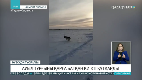 Елорда іргесіндегі ауыл тұрғындары қарға батқан киікті құтқарды