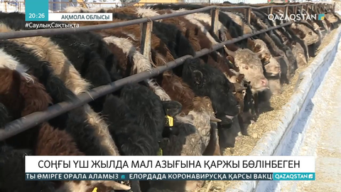 Ақмола облысында соңғы үш жылда мал азығына қаржы бөлінбеген