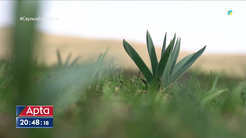 Көктемнің басталуына оншақты күн қалды