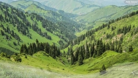 Тоқаев жер шетелдіктерге сатылмайтынын тағы да ескертті