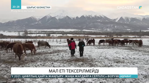 ШҚО-да балабақша мен мектептерге мал еті тексерілмей өткізіліп жатыр