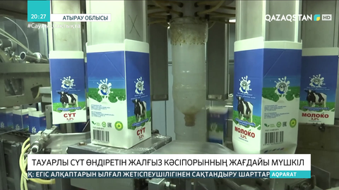 Атырау облысындағы сүт өндіріп отырған жалғыз кәсіпорын қарызға батқан