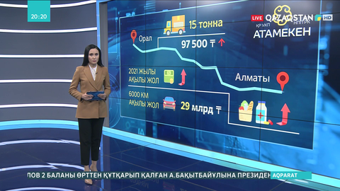 Ақылы жолдардың көбеюінен азық-түлік пен дәрінің бағасы қымбаттауы мүмкін