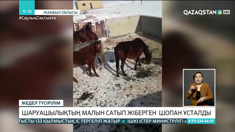 Жамбыл облысында шаруашылықтың бүкіл малын сатып жіберген шопан ұсталды