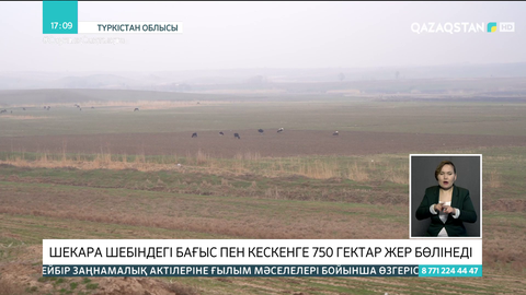 Түркістан облысындағы картаға енбей қалған ауылдарға 750 гектар жер бөлінеді