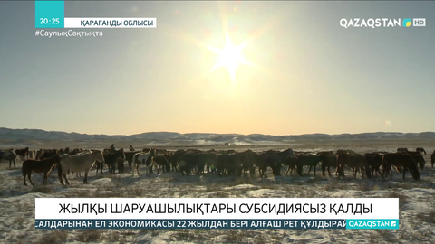 Қарағанды облысында жылқы шаруашылықтары субсидиясыз қалды