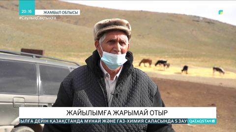 Жамбыл облысы Сарысу ауданында жайылым тапшы