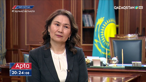 Анар Жайылғанова: Мемлекеттік аппараттың басты проблемалары - жалақы мен бюрократия