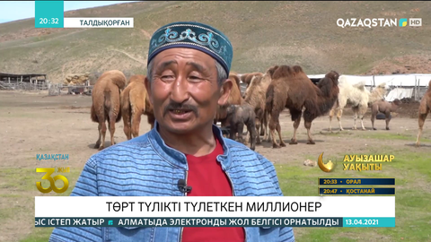 30 жыл бұрын елге көшіп келген Миллионер Қажыкенұлы төрт түлікті түлетіп отыр