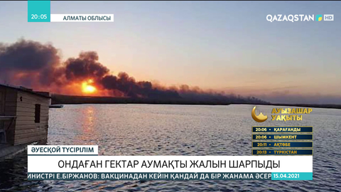 Алматы облысындағы өрттен балық шаруашылығы зардап шекті