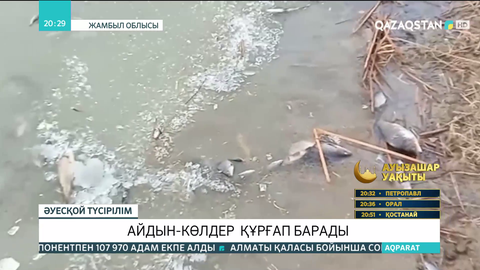 Жамбыл облысында айдын-көлдерде судың аздығынан балық шаруашылықтары шығынға батты