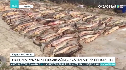 Саяжайда 1 тоннаға жуық бекірені жасырын сақтаған Атырау тұрғыны ұсталды