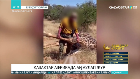 Қазақтар Африкада аң аулап жүр