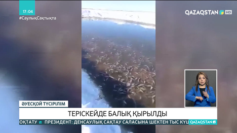 Теріскейде балық қырылып жатыр