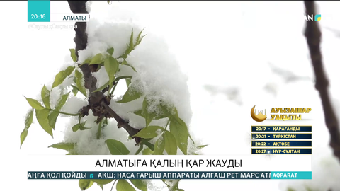 Алматыда күн қайта жылынады