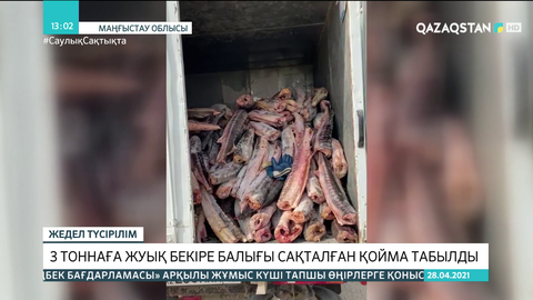 Маңғыстауда 3 тоннаға жуық бекіре балығы сақталған қойма табылды