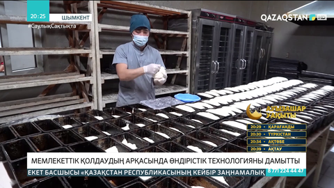 Шымкенттегі «Жаңа талап кондитерлік өнімдері» кәсіпорыны тәулігіне 3,5 мың нан пісіреді