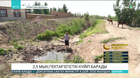 Түркістан облысы Келес ауданында 2,5 мың гектар егістік күйіп барады