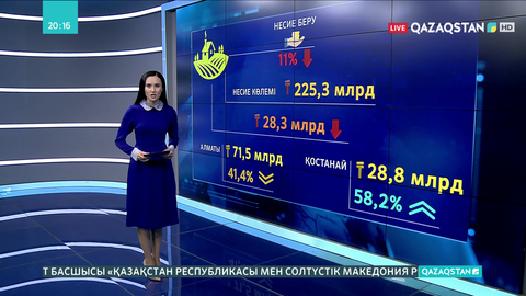 Қазақстанда ауыл шаруашылығына несие беру 11%-ке қысқарды